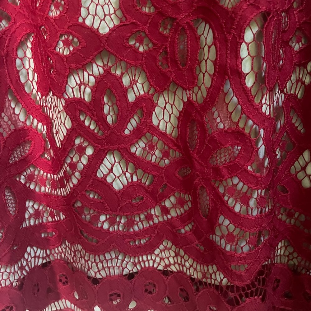 Danny & Nicole Beautiful Red Lace Dress Size 12P - Picture 5 of 7